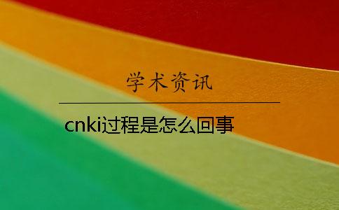 cnki过程是怎么回事？