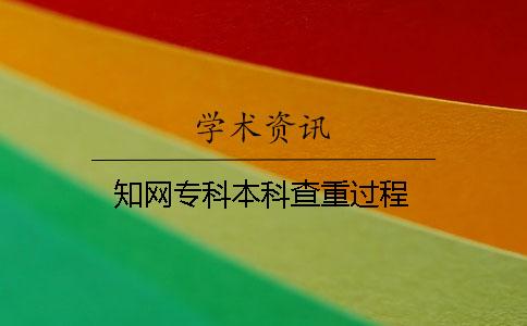 知网专科本科查重过程