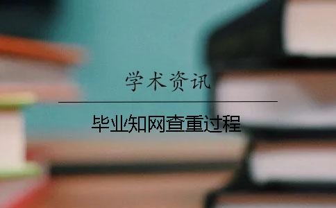 毕业知网查重过程