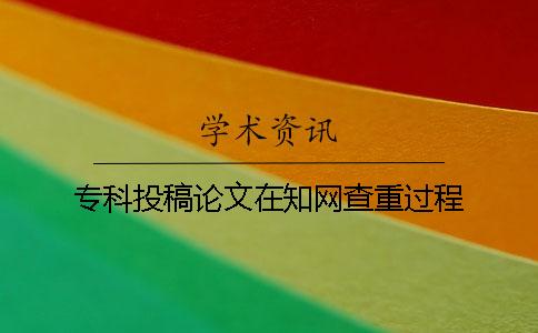 专科投稿论文在知网查重过程